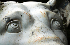 Detail of John Cheere's Lioness, East Portico, West Wycombe Park, Buckinghamshire