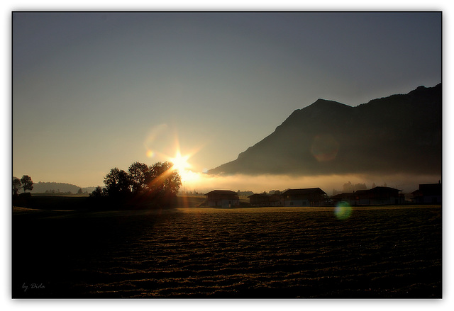 Morgenstund ✶ Morning hour