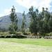 View From Urubamba