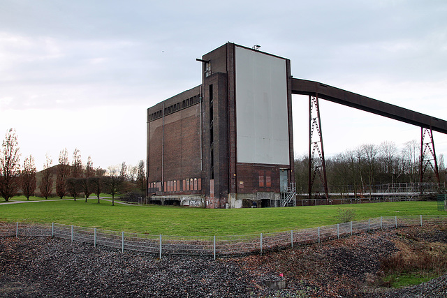 Zeche Nordstern 1/2, alter Kohlebunker mit Bandbrücke (Nordsternpark, Gelsenkirchen-Horst) / 2.03.2024