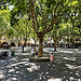 Uzès