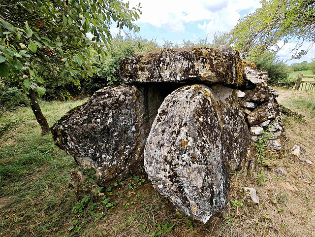 La Puech  -  Dolmen de la Serre