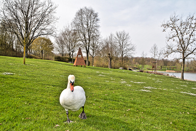 Good afternoon Mr.Swan!