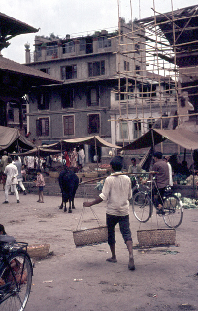 Nepal 1974 0001 (31)a er