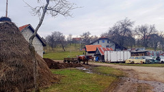 Rural landscape