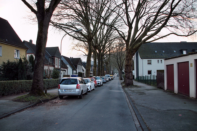 Günnigfelder Straße (Wanne-Eickel) / 8.02.2025