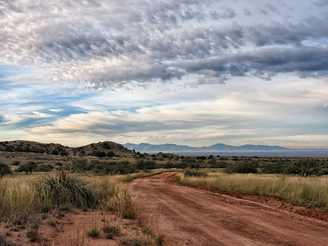 Forest Service Road #687