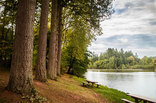 l'arboretum de Pezanin en Saône et Loire