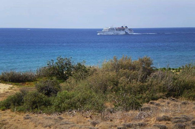 Arrival of the ferry Lobo Marinho.