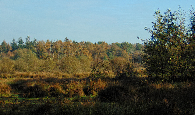 DSC00551