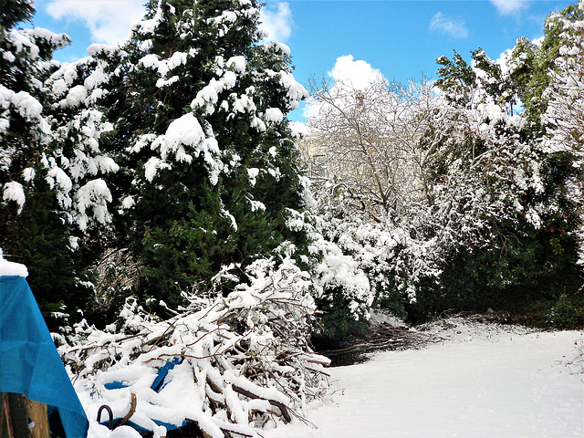 Everything looks great covered with snow (2)