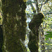 20230930 -1001 Alzon paradis dodo Saint Guirral (106)