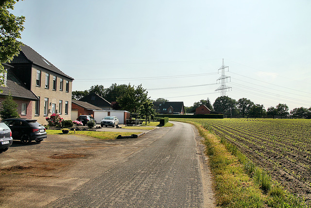 Lehmbergstraße (Dorsten) / 27.05.2023