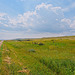 Chimney Coulee looking west