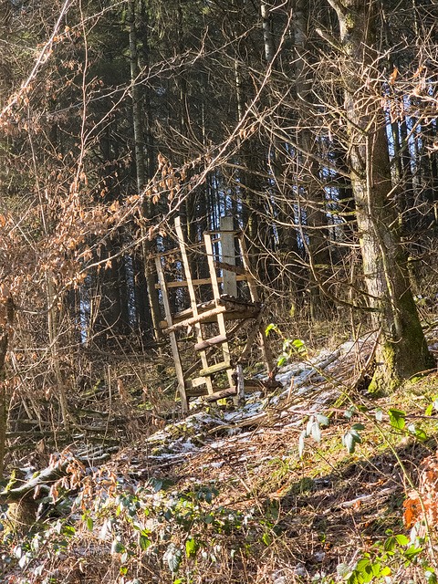 Blankenheim - Schaafbachtal