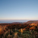 Moorland Sundown