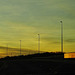 Driving Home