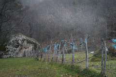 Serra da Estrela, boulder