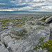 The Burren, Ireland 2009