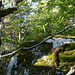 20230930 -1001 Alzon paradis dodo Saint Guirral (111)
