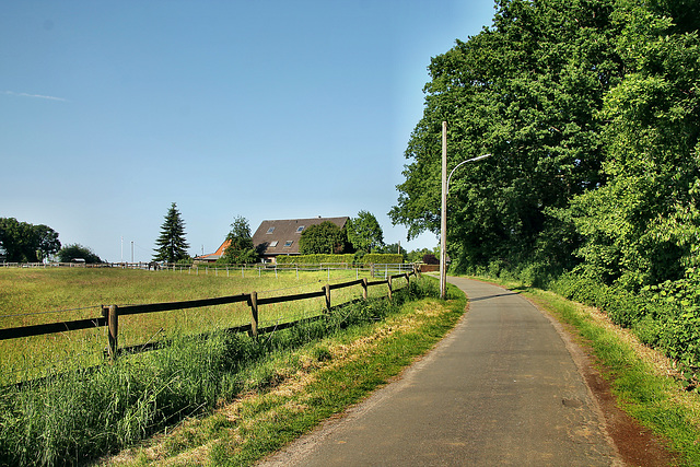 Lehmbergstraße (Dorsten) / 27.05.2023