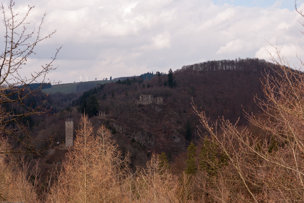 Burgruine