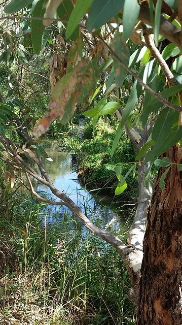 river view