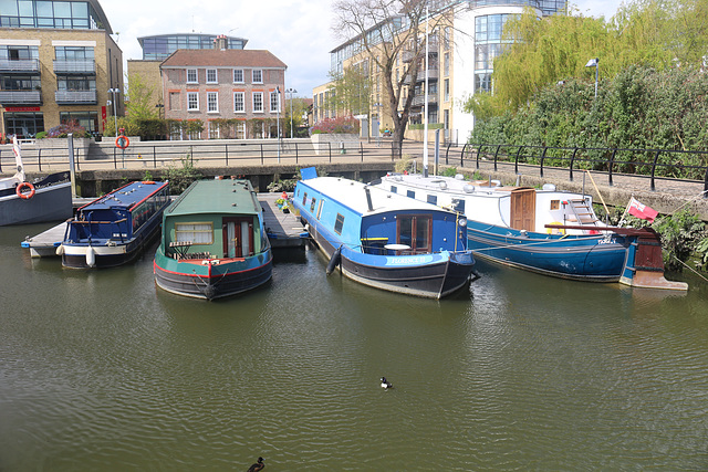 The Thames Path - Teddington to Kew Bridge, north bank