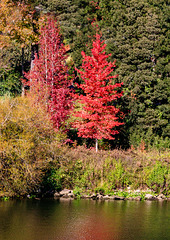 Douro River-3