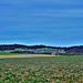 Wildensbuch ZH mit Kohlfirst-Aussichtsturm