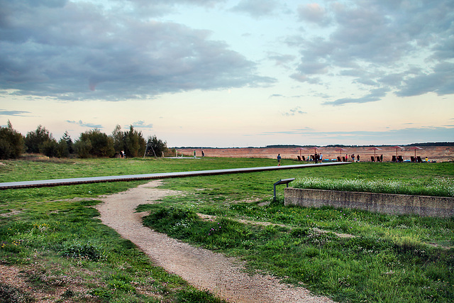 Aussichtspunkt Terra Nova 1, Wiese vor dem Tagebau (Elsdorf) / 26.08.2023