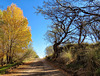 E Yucca Farm Road