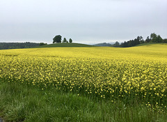 Salemer Land