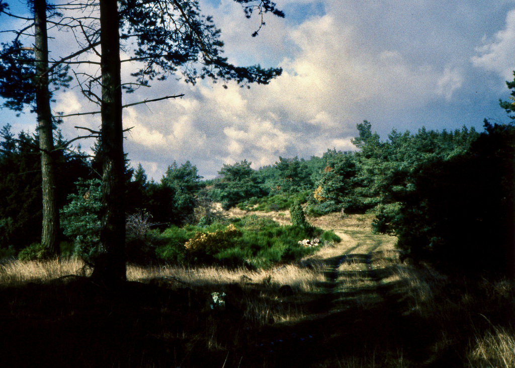 Wanderweg in der Eifel
