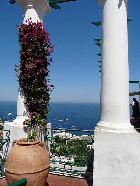 Capri- Colonne