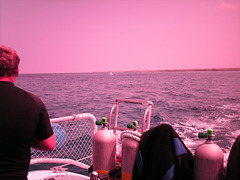 PICT0368.JPG