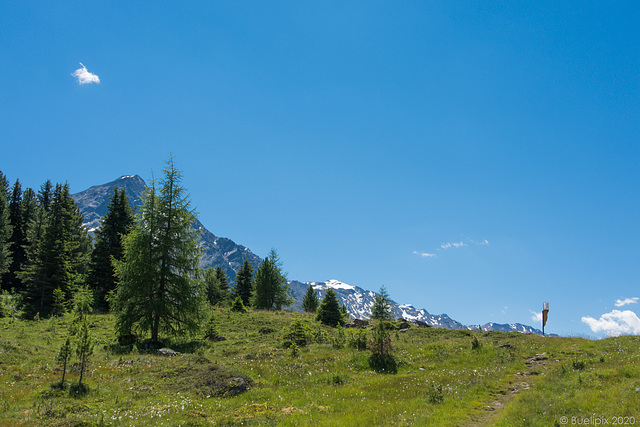 von der Gaislachalm nach Sölden (© Buelipix)