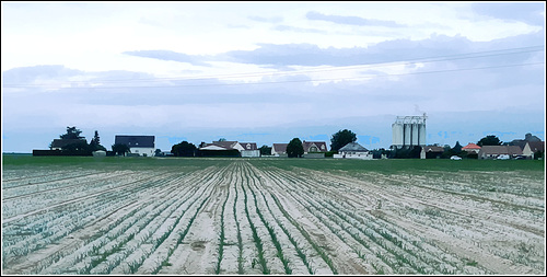 Terre mer