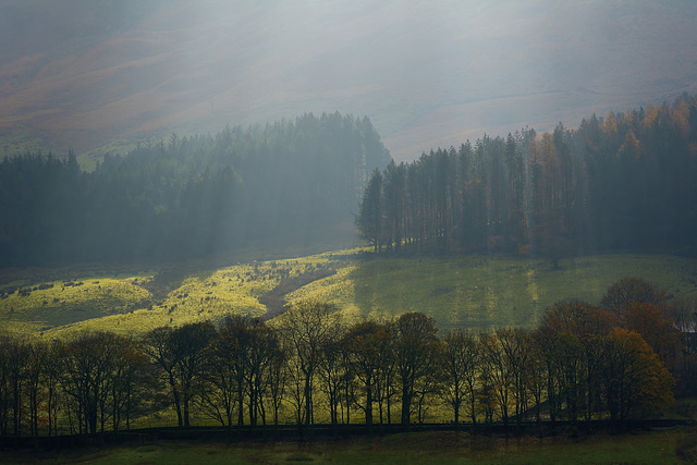 Mist and sun on the hillside