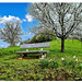 Frühling im Schwarzwald