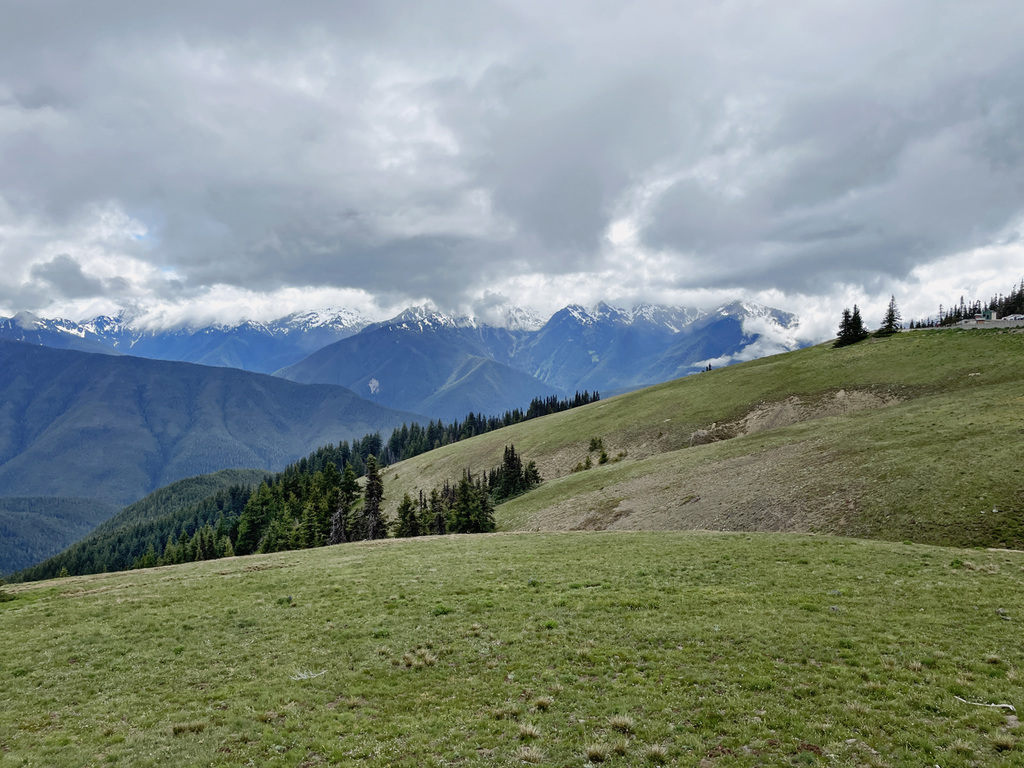 Hurricane Ridge