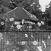 Cosmos at a temple