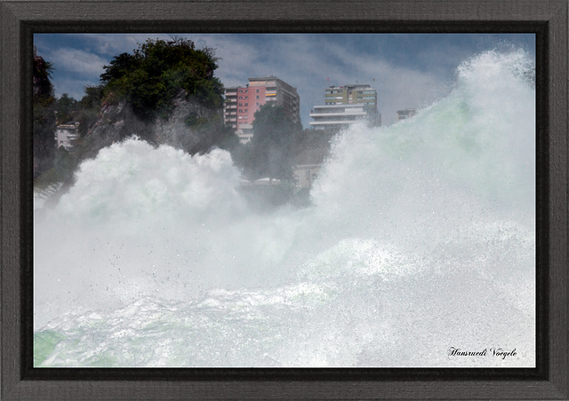 Am Rheinfall 8.07.2016