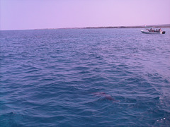 PICT0360.JPG