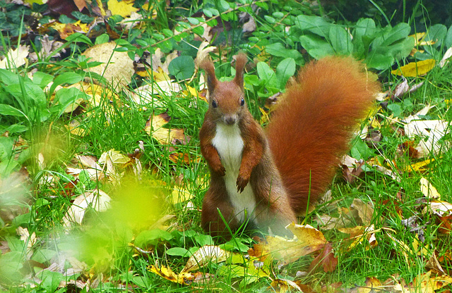 Hallo, hier bin ich!