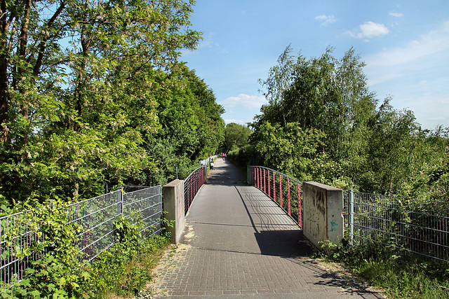 Radweg Erzbahntrasse (Bochum-Hordel) / 21.05.2018