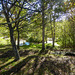 Sunny Autumn Monday - colours by the pond