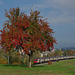 BÖ0013848