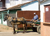 Horse cart, Remedios, Cuba