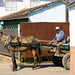 Horse cart, Remedios, Cuba